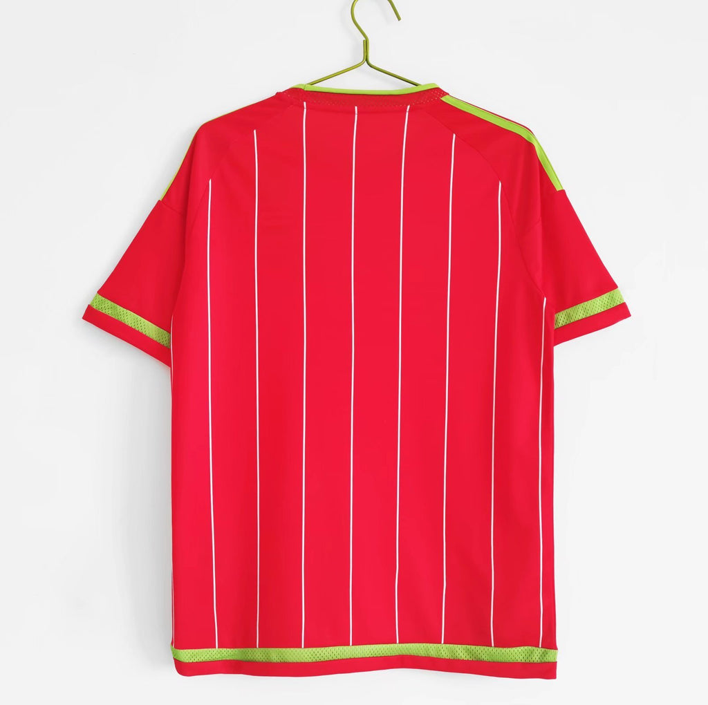 Maillot RETRO Pays de Galle 2015/16